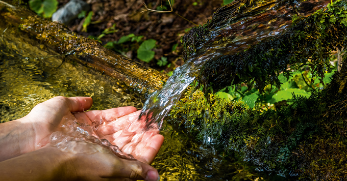 Photo de l'activité scolaire environnement : le grand voyage de l'eau, montrant une main recueillant de l'eau.